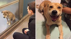 Before and After